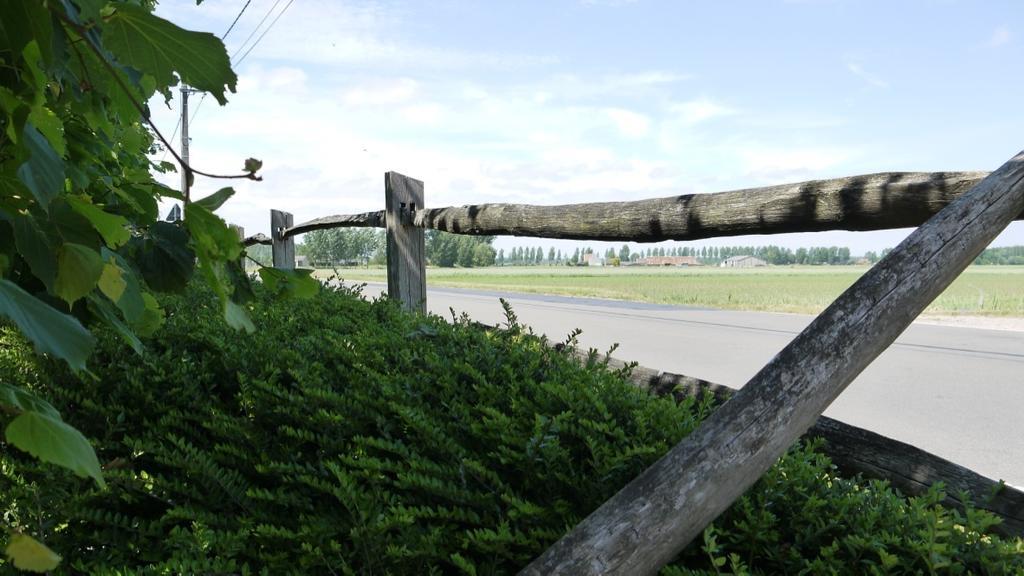 赫默尔哈德住宿加早餐旅馆 Assenede 外观 照片
